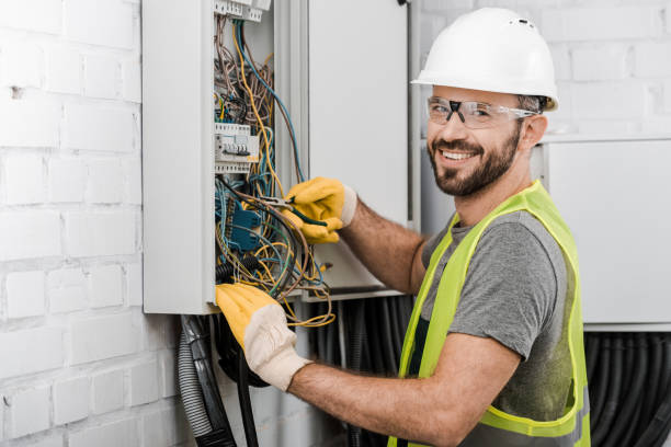 Best Electrical Upgrades for Homes  in Edinburg, IL