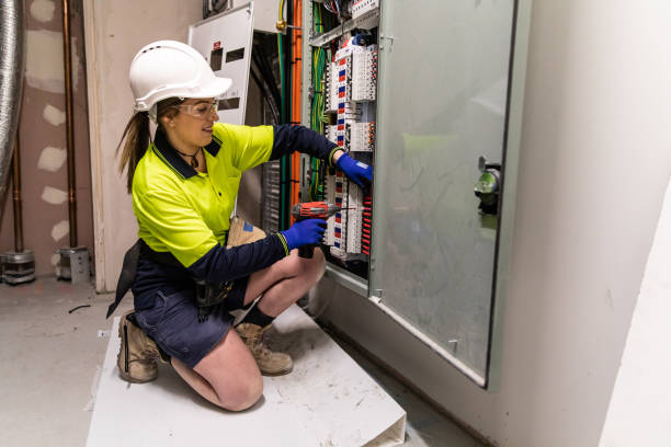 Best Electric Panel Repair  in Edinburg, IL