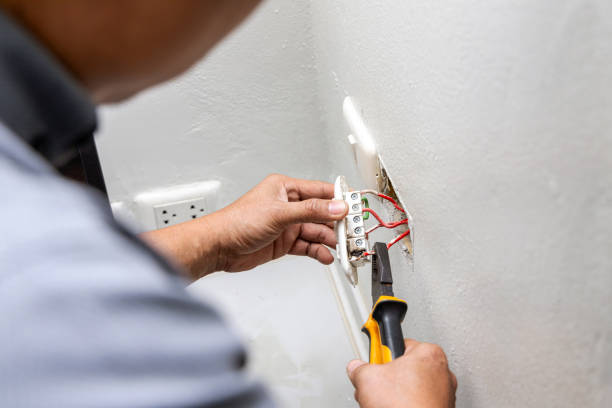 Best Generator Installation Services  in Edinburg, IL